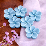 Fondant Parfumé Artisanal | Les p'tits cœurs de Breizh