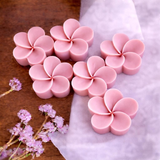 Fondant Parfumé Artisanal | Les p'tits cœurs de Breizh